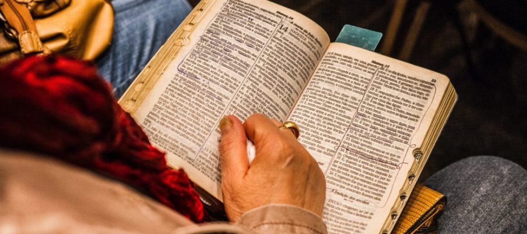 adult-bible-book-series-1296720
