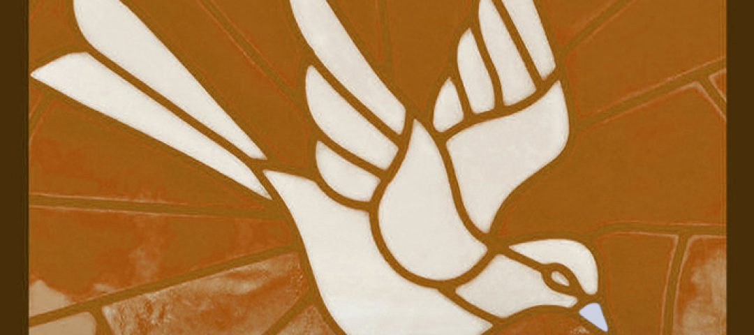 dove spirit slider