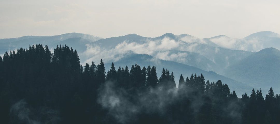 mountains-clouds-forest-fog
